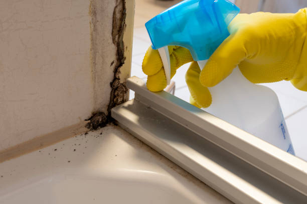 Best Post-Remediation Services in Sparta, GA