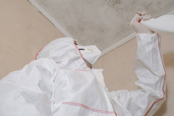 Best Black Mold Remediation in Sparta, GA
