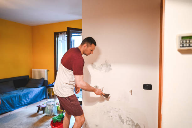 Best Black Mold Remediation in Sparta, GA